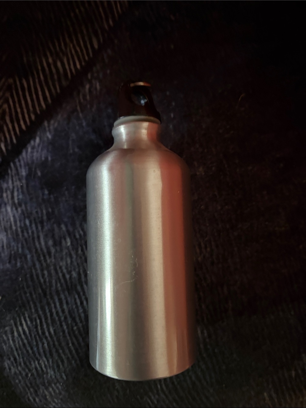 Classic Silver Aluminum Water Bottle with Screw-Top Cap
